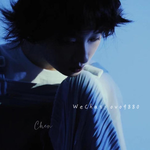 91人成色情网www中国
