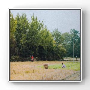 91人成色情网www中国
